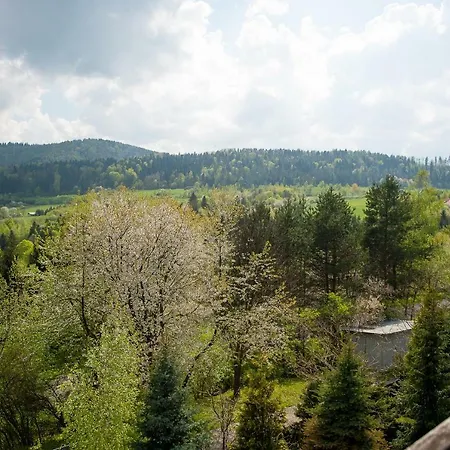 96 - Dom W Gorach Nad Jeziorem *